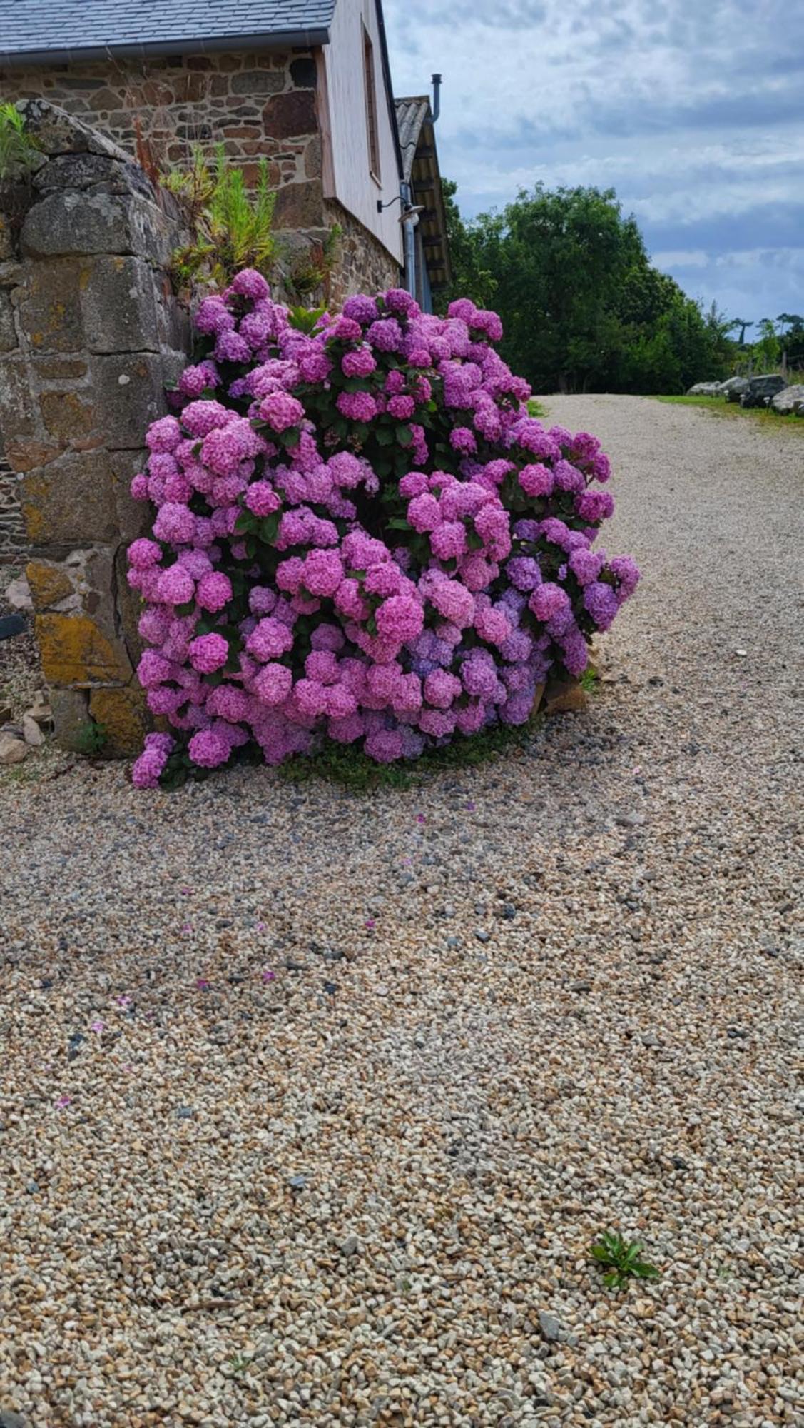 Gite Paimpol Le Loarwenn Luaran gambar